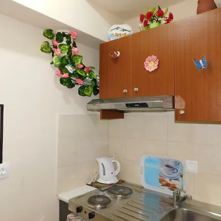 Studio Paralia Apartment