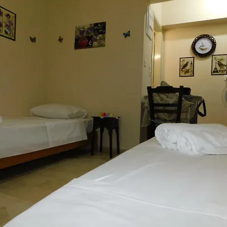 Studio Paralia Apartment *